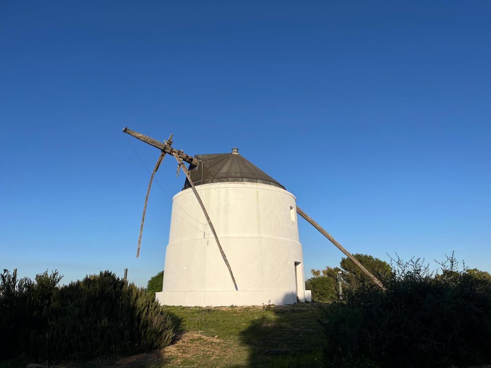 Casa Carmen - Centrico Apartamento Con Terraza Privada Vejer de la Frontera Esterno foto